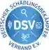 DSV Logo